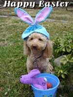 Oskar Logan Easter Bunny and Easter picture